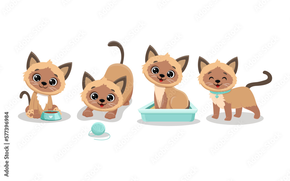 Set of isolated cute cats in different poses in cartoon style.Siamese cat.Vector illustration Set of isolated cute cats in different poses in cartoon style.Siamese cat.Vector illustration