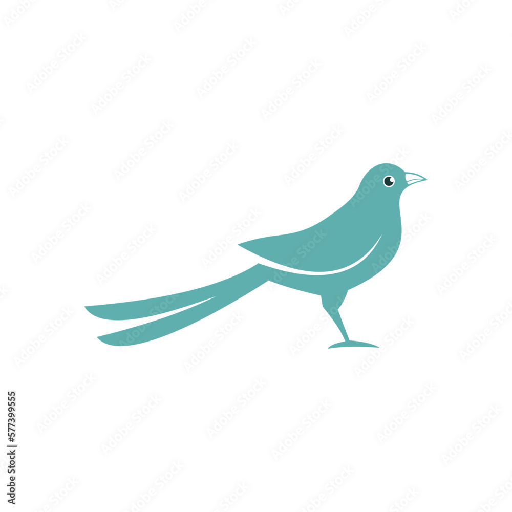 Obraz premium Cute Long Tail Magpie Bird Animal Illustration
