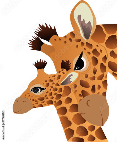 Photography Pair of baby giraffe and giraffe vector for wallpaper