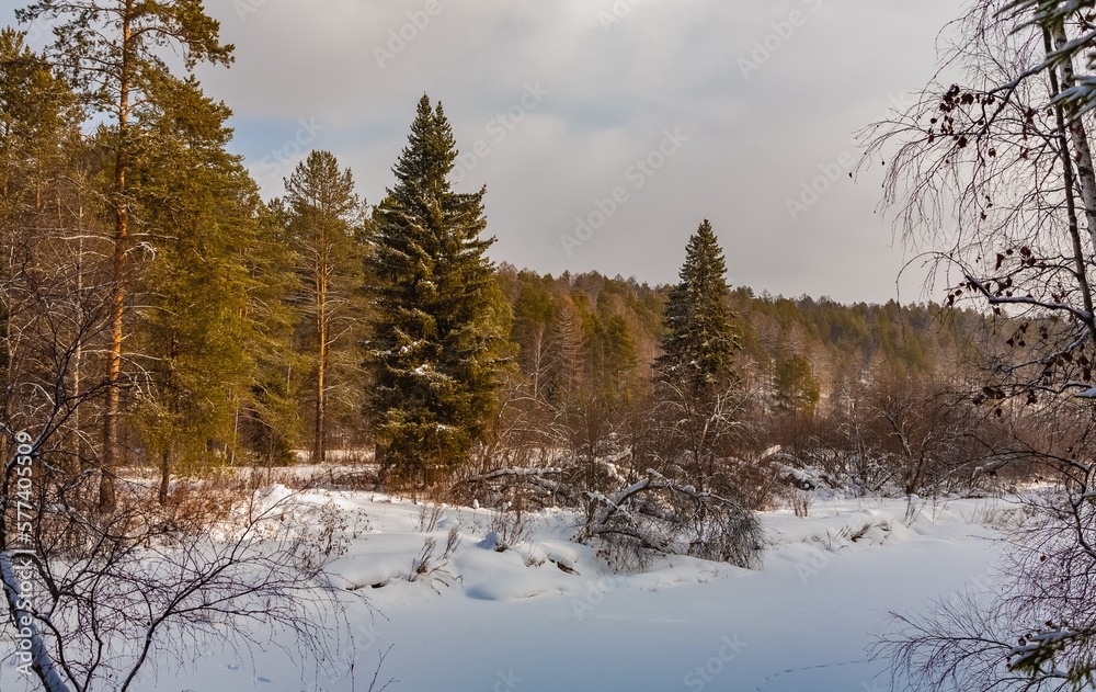 Winter landscape with Christmas trees and other trees on the bank of a snowy river against a cloudy sky Winter landscape with Christmas trees and other trees on the bank of a snowy river against a cloudy sky