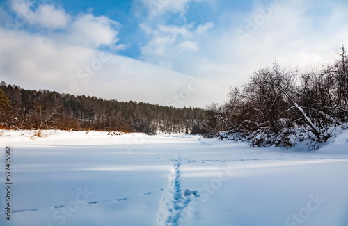 Winter landscape with trees on the bank of a snow-covered river against a cloudy blue sky © Александр Коликов