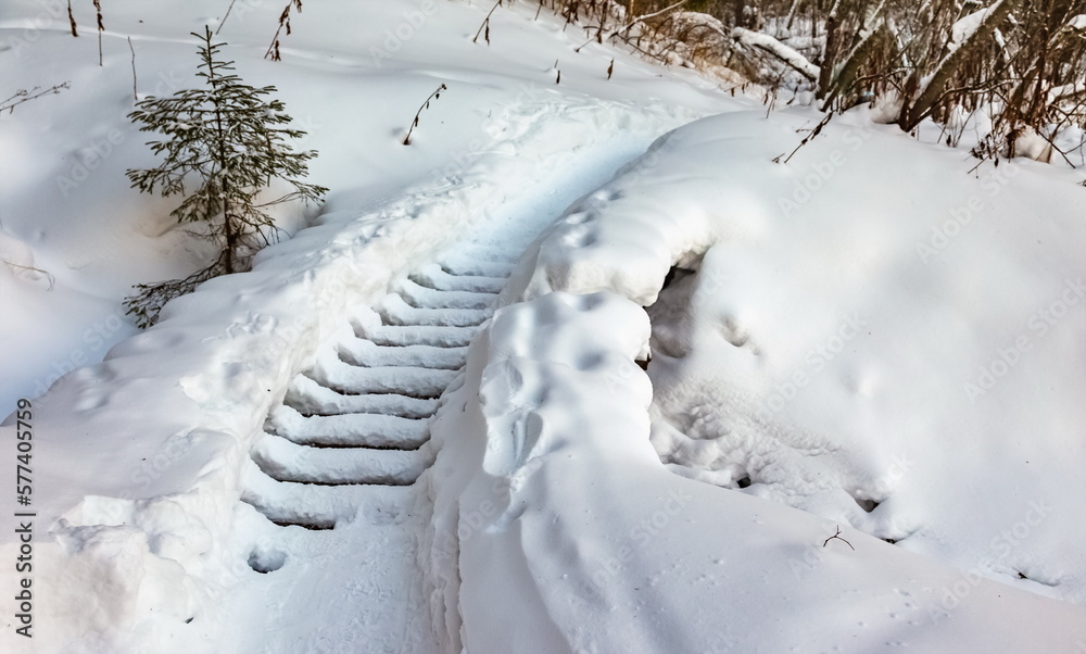 A snow-covered bridge over a stream in the forest in winter A snow-covered bridge over a stream in the forest in winter