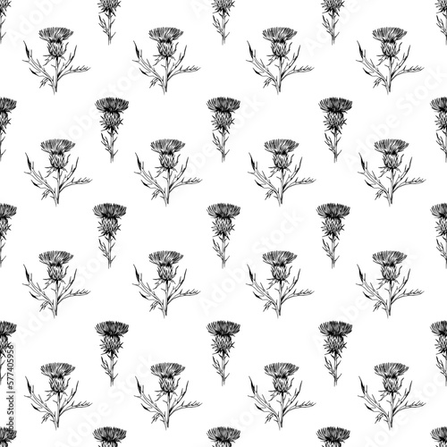 Thistle plant. Seamless pattern. Black sketch illustration for fabric, paper design