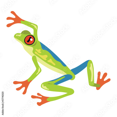 green and blue frog