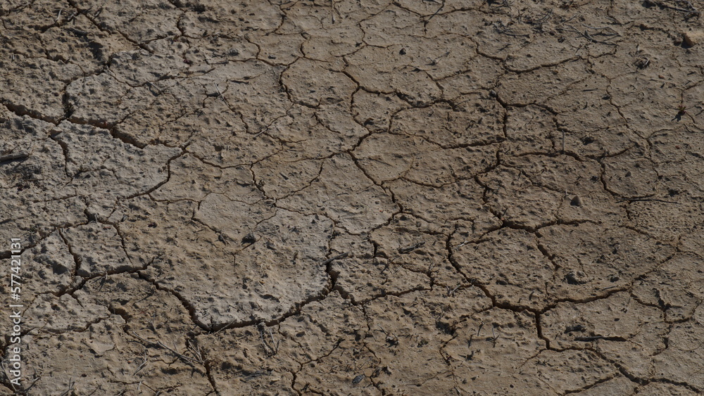 Climate change drought land. Global warming issue, cracked mud in the bottom of a river Climate change drought land. Global warming issue, cracked mud in the bottom of a river