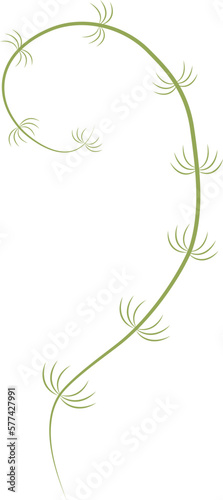 Vector illustration of green seaweed in cartoon style. Digital green lichen clipart. Green algae template. Spring branch with green leaves