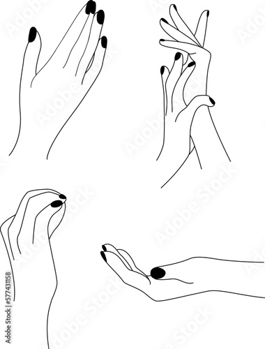 Illustration of the brush of hands line art. Vector hands, art. Arm. 