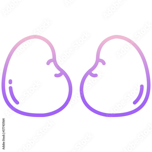 Chicken kidney icon