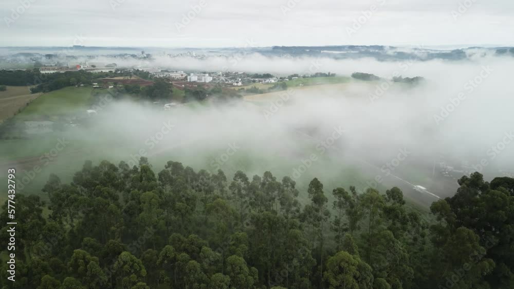 Flying down into eucalyptus forest with small city in background and low clouds. Fog. Mist. Flying down into eucalyptus forest with small city in background and low clouds. Fog. Mist.