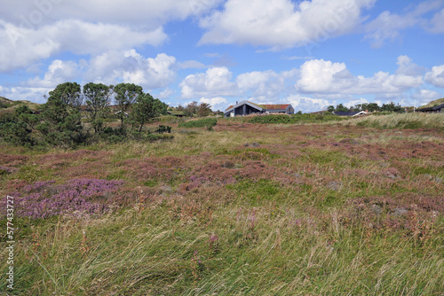 Landschaften bei Henne Strand in Dänemark
