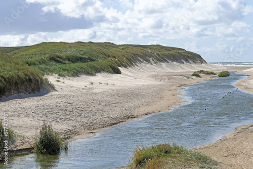 Landschaften bei Henne Strand in Dänemark photo
