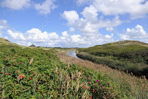 Landschaften bei Henne Strand in Dänemark