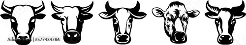 Cow head mascot variant set. Cattle logo. Farm animal illustration.