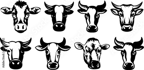 Cow head mascot variant set. Cattle logo. Farm animal illustration.