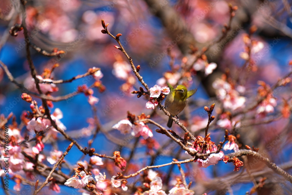 春の陽気につられて