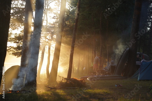 Morning in the forest