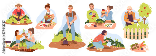 Organic gardening. People of different ages work in the garden, plant and water the plants. Eco concept. Vector illustration.