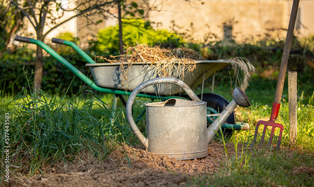 Brouette et arrosoir dans un jardin au printemps. Brouette et arrosoir dans un jardin au printemps.