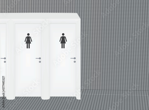 Female toilette inside. vector illustration