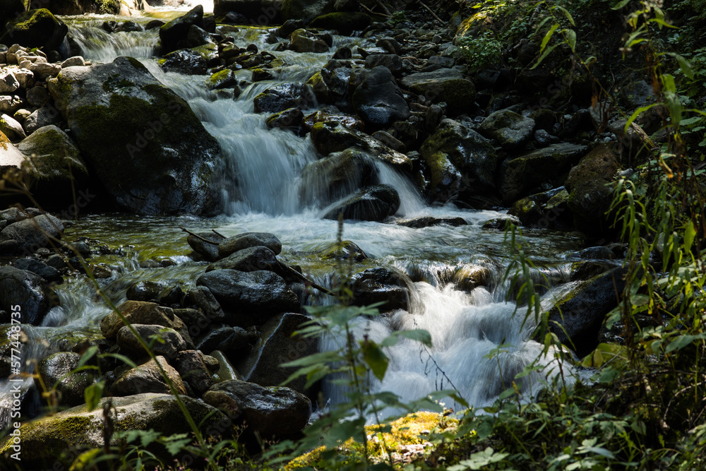 waterfall in the forest waterfall in the forest