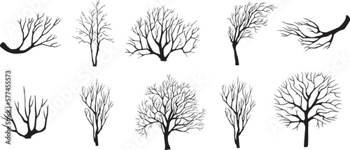 Naked trees silhouettes set. Hand drawn isolated illustrations. Vector Trees Background. set of vector Tree illustrations