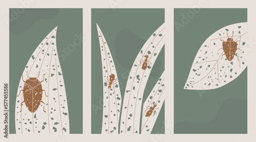 Pastel colors posters collection with grunge ladybug, ants, bug, leaves. Cute trendy green Vector Banner Templates