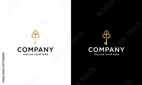 Medieval vintage keys inlaid with Victorian leaf scrolls, hand drawn vintage keys, on a black and white background.