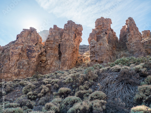Bizarre limestone rock formations and dry flowers and vegetation at hiking trail to peak Alto de Guajara. Colorful dry volcanic scenic landscape at national park of Teide, Tenerife, Canary Islands.