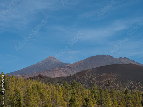 Mountains and lava fields partly covered by pine tree forest with view of volcano Pico del Teide. Volcanic landscape at El Teide National Park, Tenerife, Canary Islands, Spain. Blue sky background