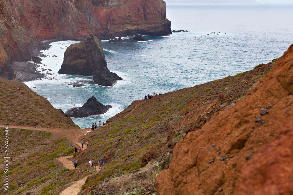 Madeira's Coast