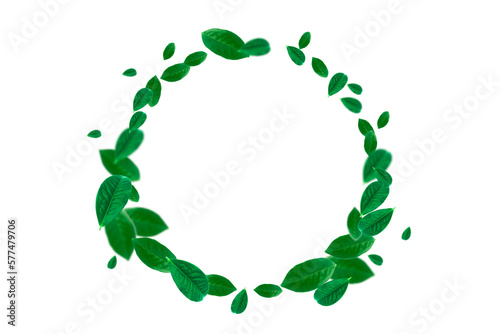 green tea leaves circular frame on white background