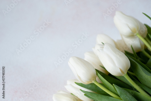 white tulips on a light background. Place for text