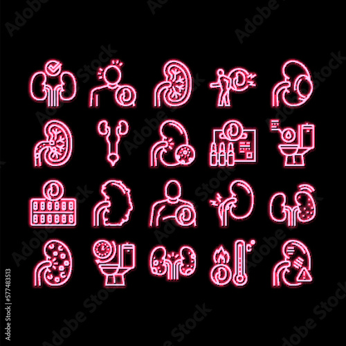 Nephritis Kidneys neon glow icon illustration