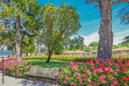 Idyllic public park with roses at springtime in Lazise, Lake Garda, Italy