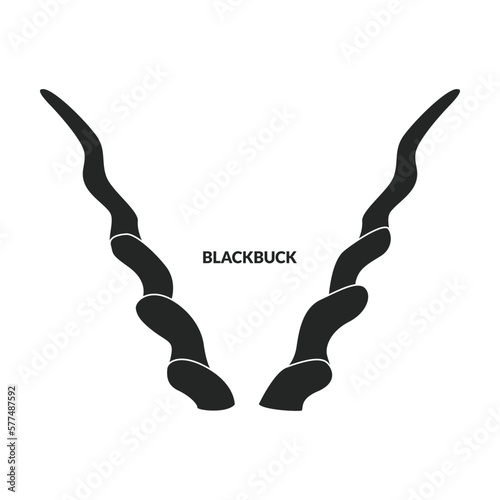 Horn blackbuck vector icon.Black vector icon isolated on white background horn blackbuck. photo