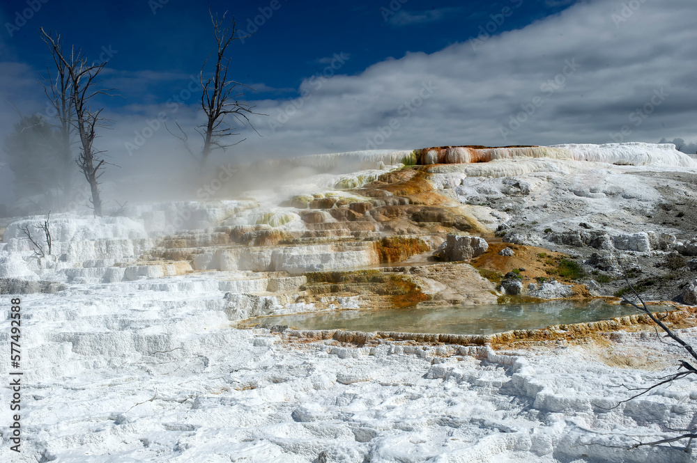 Terrace at Mammoth Hot Springs; Yellowstone National Park; Wyoming 