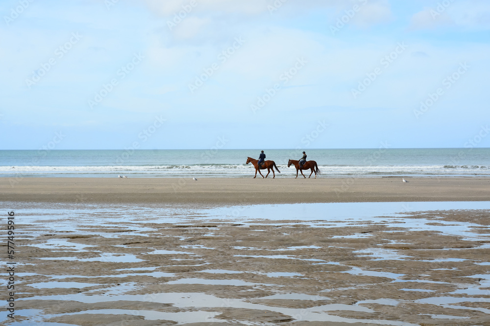 Cheveaux - Cavaliers - Plage de Deauville - Normandie Cheveaux - Cavaliers - Plage de Deauville - Normandie