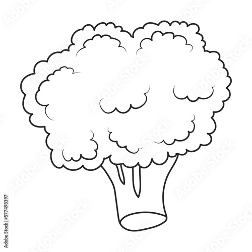 Broccoli vector icon. Outline vector icon isolated on white background broccoli.
