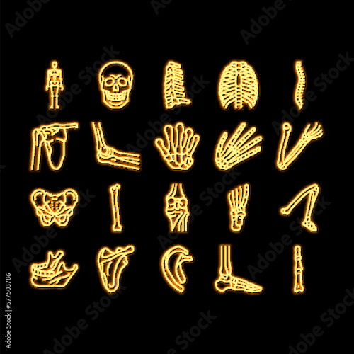 Bone Human Skeleton Structure neon glow icon illustration