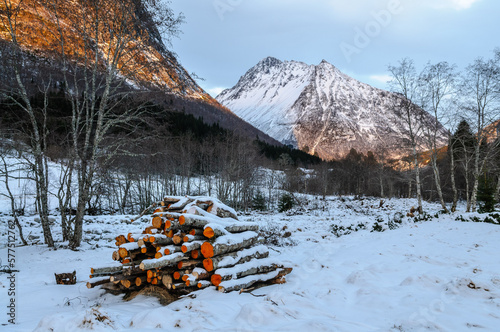 felled trees in snow in front of the Vassdal peak