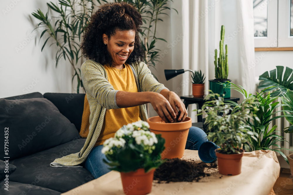 Beautiful woman is replanting her houseplants Beautiful woman is replanting her houseplants