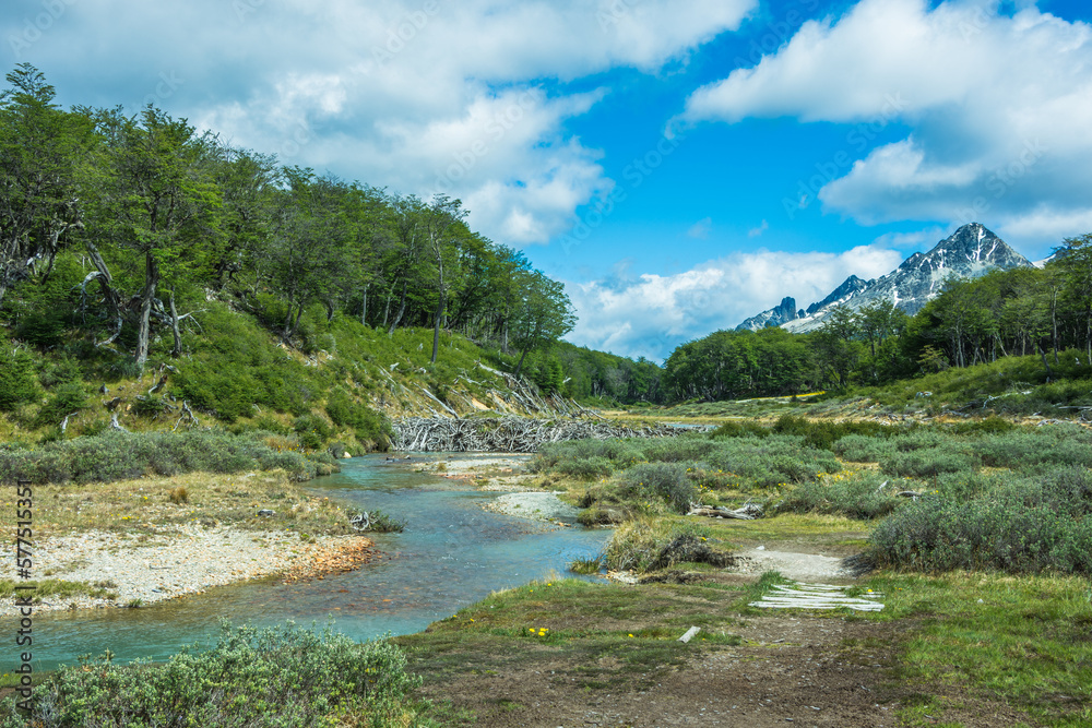 View of a beaver dam at the trail to Laguna Esmeralda (Emerald Lake) - Ushuaia, Argentina View of a beaver dam at the trail to Laguna Esmeralda (Emerald Lake) - Ushuaia, Argentina