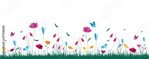 sfondo, prato fiorito,  fiori, piante, primavera