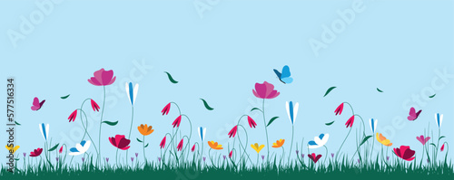 sfondo, prato fiorito,  fiori, piante, primavera