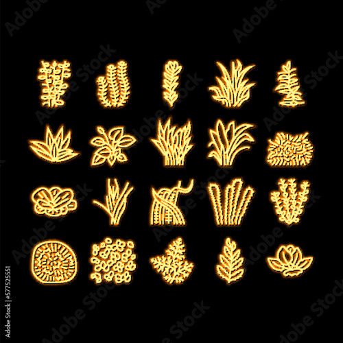 Aquatic Seaweed Natural Plant neon glow icon illustration