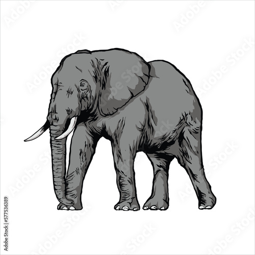 Elephant Drawings Animals wildlife Colorful Nature beauty © cerahart085