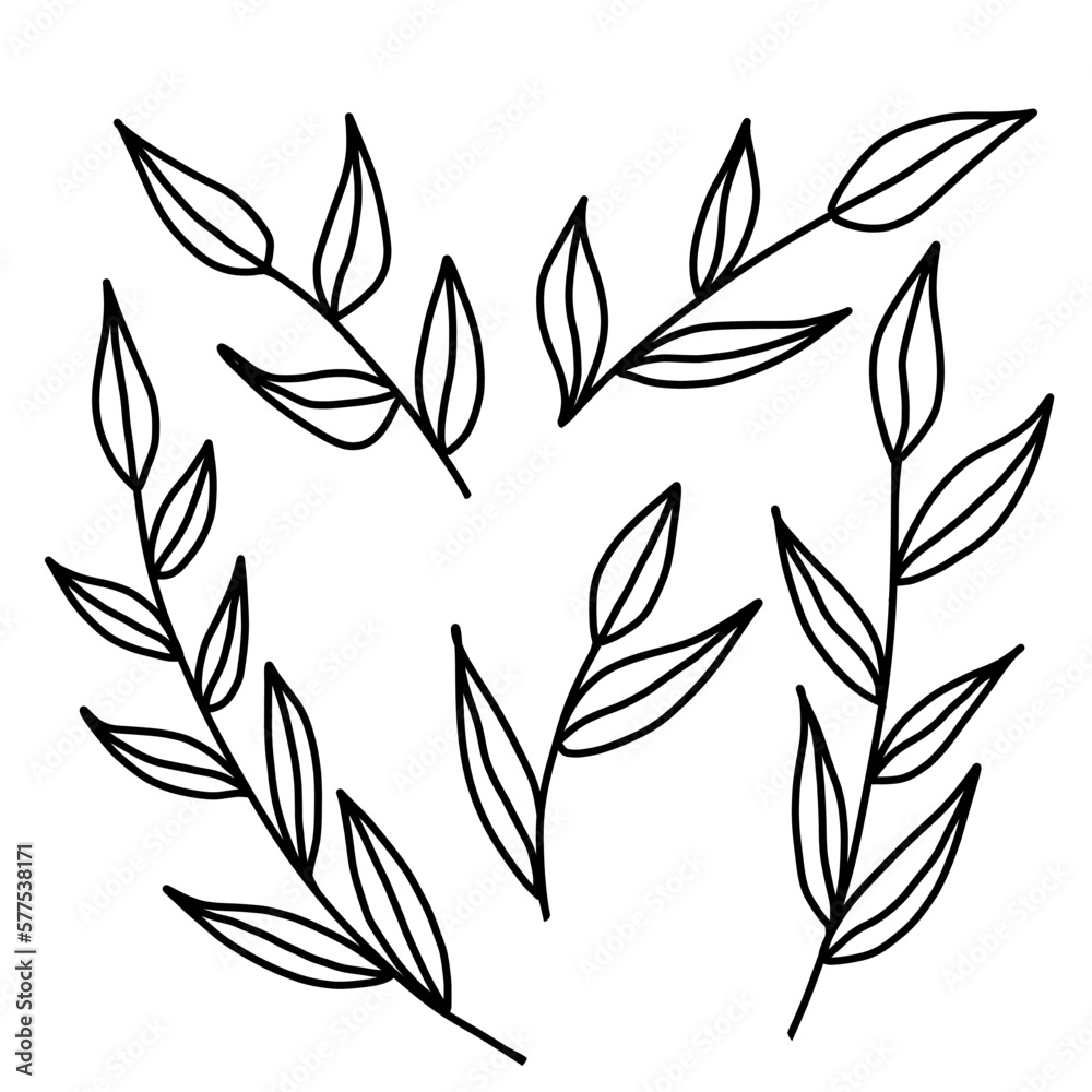 Floral Decoration Branches set in hand drawn doodle style. Vector illustration isolated on white background. Floral Decoration Branches set in hand drawn doodle style. Vector illustration isolated on white background.