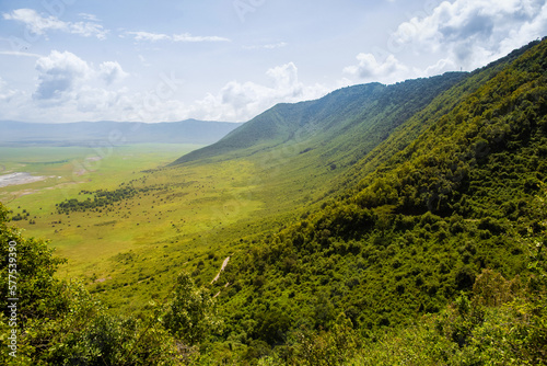 beautiful African landscape in Tanzania with trees and mountains.