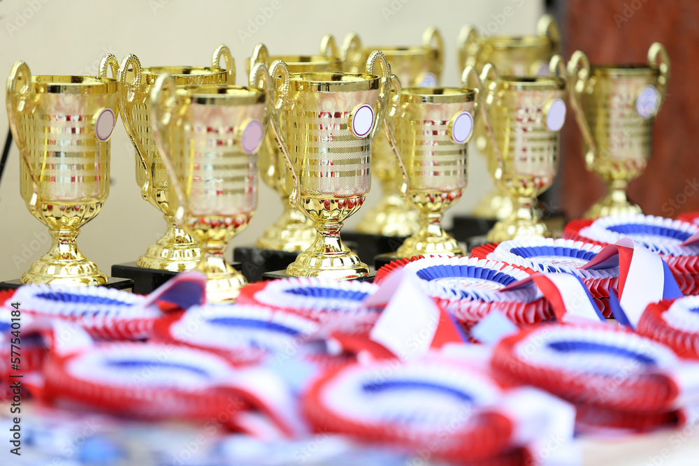 Pile of horse sport trophies rosettes at equestrian event Stock Photo ...