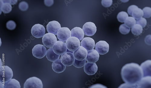 Staphyloccocus aureus, MRSA - antibiotic resistent bacteria photo